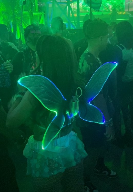Illuminated wings worn in a crowd, glowing blue and green.