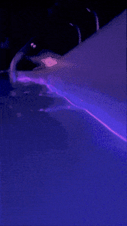 Lit Trippy Wire being submerged in water, still glowing.